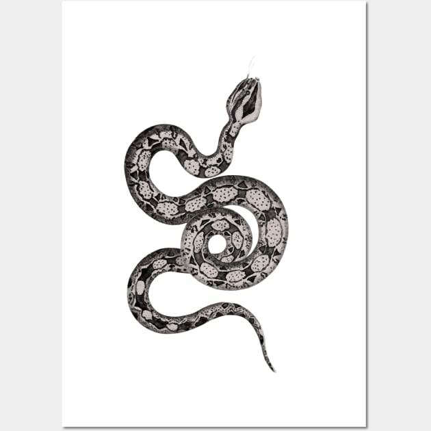 The sinuousness of the snake with its exposed skeleton Wall Art by Marccelus